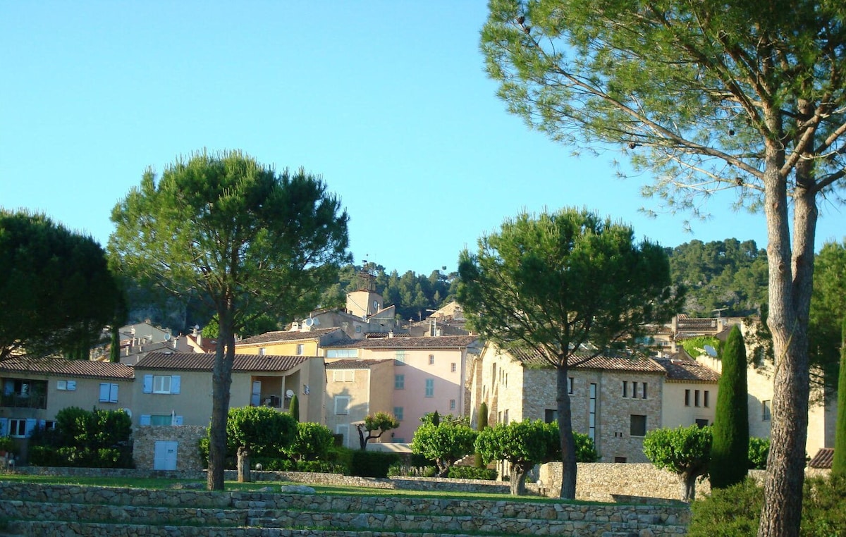 Village de Villecroze et pinède